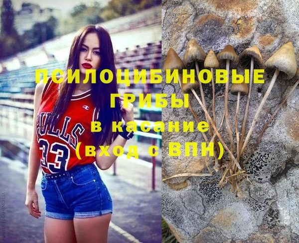 дурь Мегион