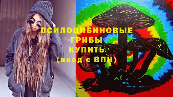 соль ск Михайлов