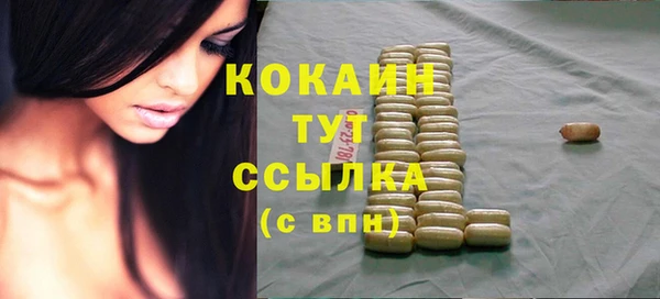 соль ск Михайлов