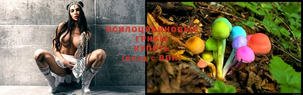 ГАЛЛЮЦИНОГЕННЫЕ ГРИБЫ Медногорск