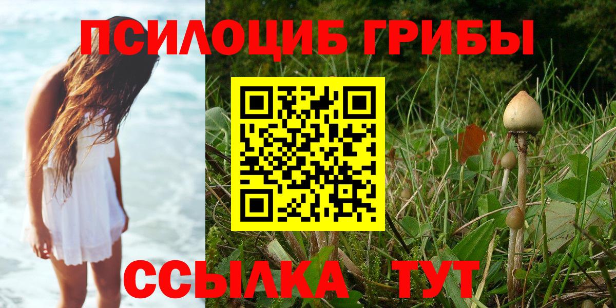 Михайловск  Псилоцибиновые грибы мицелий  Вход с VPN 
