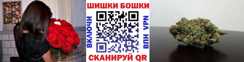 наркотики  Михайловск  omg tor  Марихуана сатива 